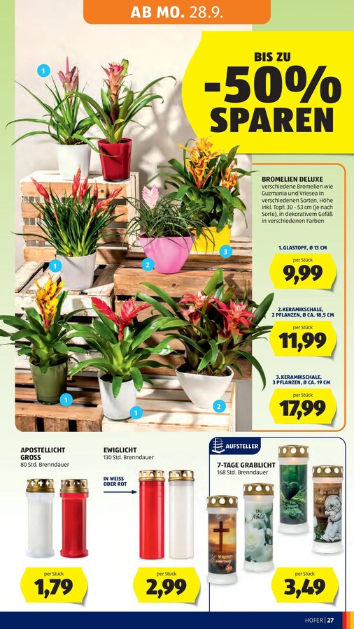 HOFER Flugblatt ab 25.09.2026 – Seite 35