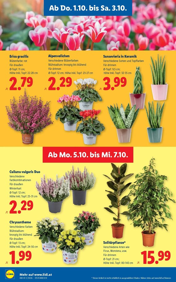 Lidl Flugblatt ab 27.09.2026 – Seite 30